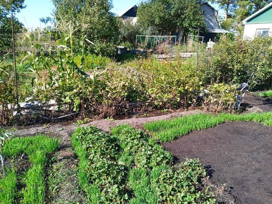 Садовый участок 4,5 сотки Актобе