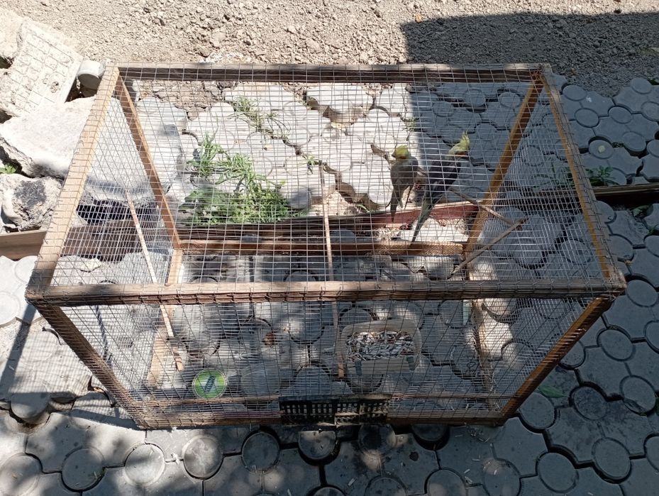 Тутини 2та сотилади