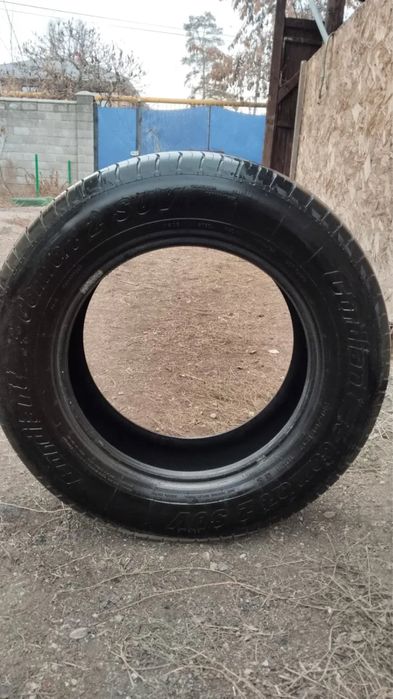 Шины Cordiant летние