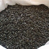 Vand porumb boabe, floarea soarelui,  lucerna