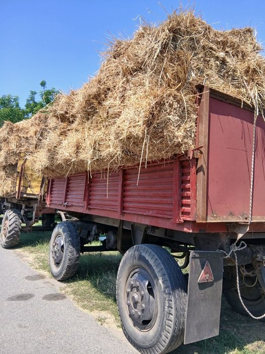Baloți de paie Și de lucernă cu fân