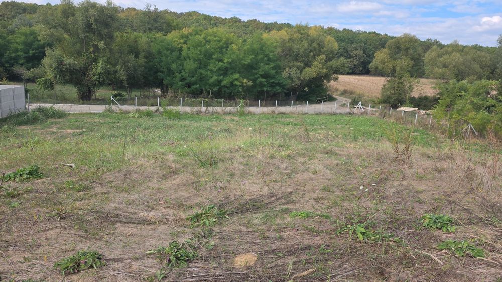 Teren la pădure comuna Nisipoasa