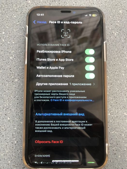 iPhone X 256GB 100%