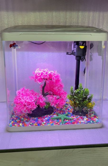 Заводской аквариумлар