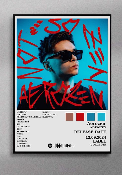 Tablou cu rama Aerozen Natsozen