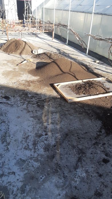 Биогумс ва калифорния қизил ёмғир чувалчанглари