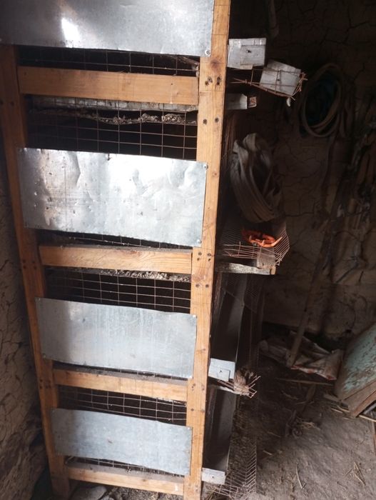 Бөдене сетка, брудер