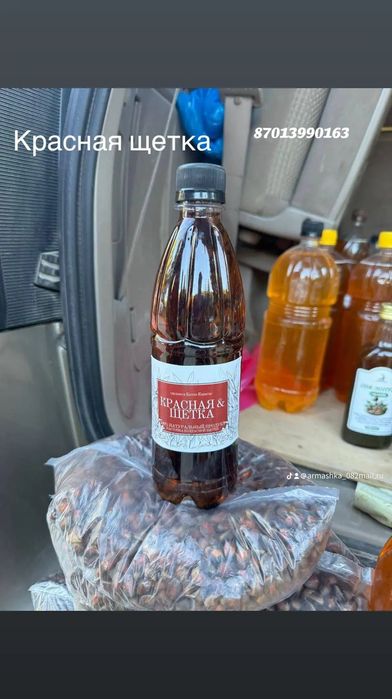 Красная щетка трава лечебная