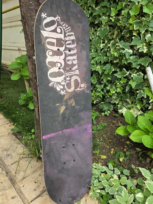 Skateboard copii.