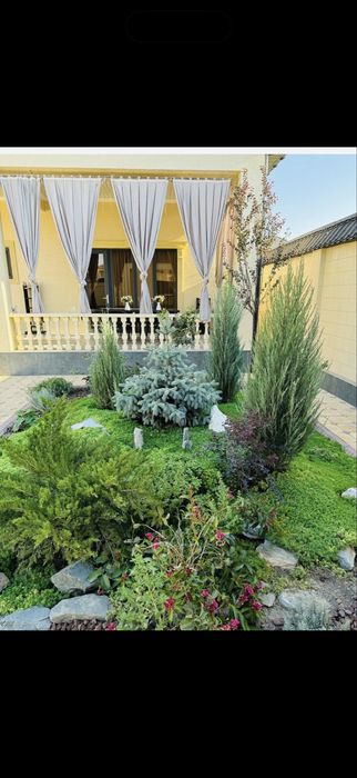 Газон автополив