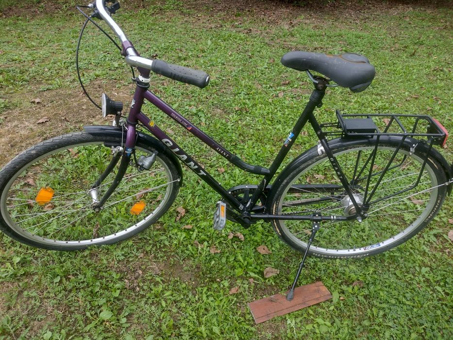 Biciclete Giant si Staiger