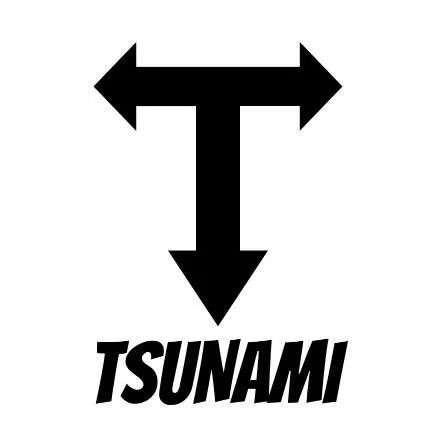 Tsunami snm 100 Fixed Gear
