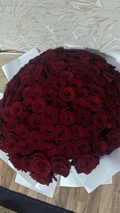 101 роза только что получила свежие