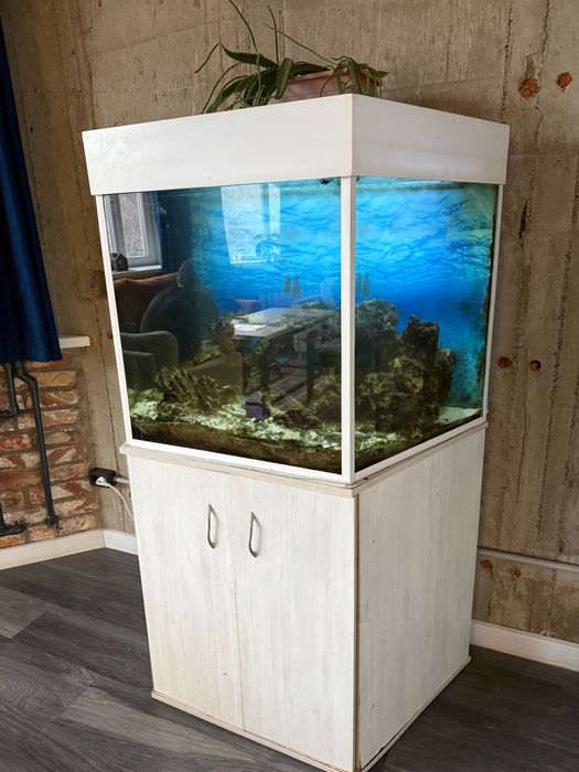 Аквариум морской