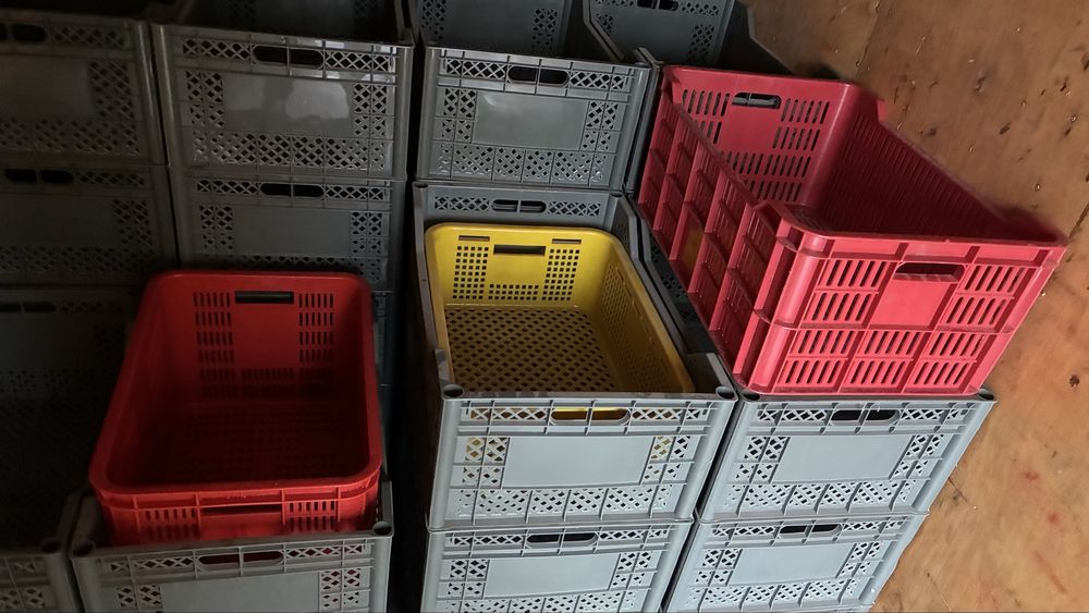 Балик учун катта ва сифатли ящиклар