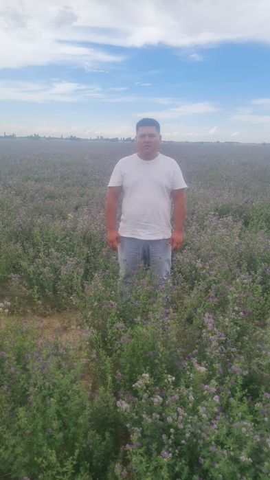 Доставка есть по городу