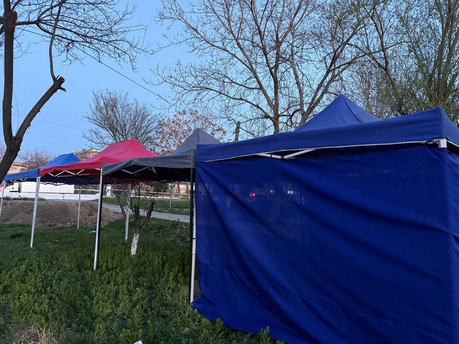 Navis ZONTIK arinda Toshkent  viloyati Toshkent shahari