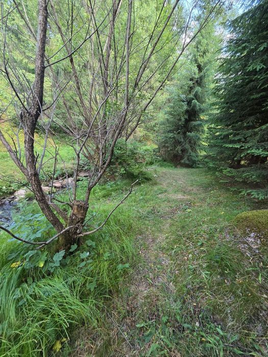 Vand 270m Teren la Sosea  Rîu în Spate Aproape de Vartop Arieseni Alba