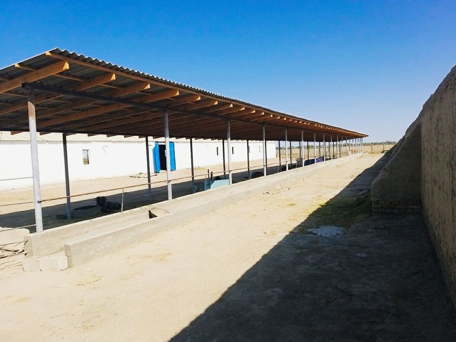 Молхона сотилади