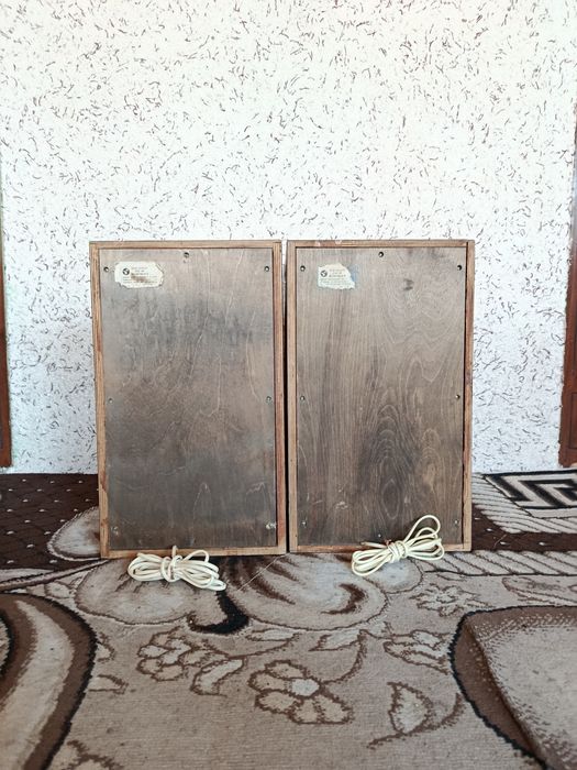 Akustika 25ac-109 sotiladi