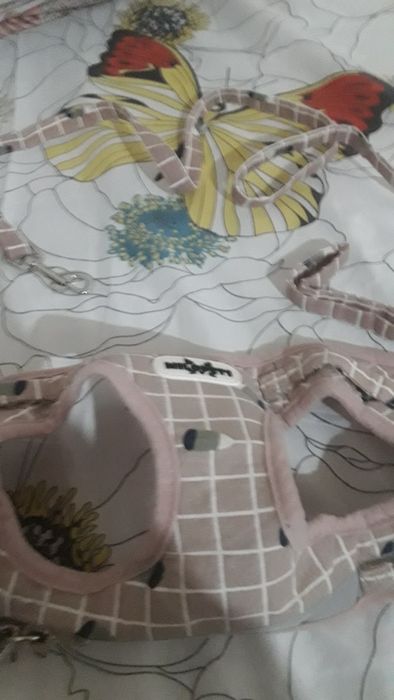 Когтеточка, куртка, шлейка подойдет для бооьшик и мелких собак