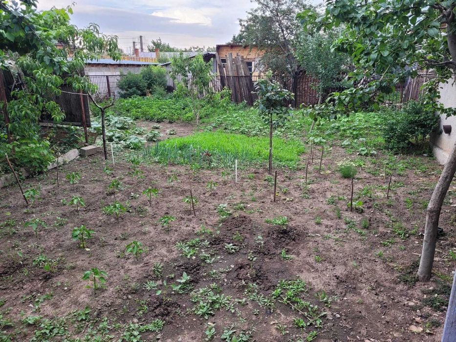 Casă 3 camere + teren 596 mp, Strada Sărbească nr. 1, Râmnicu Sărat – stare foarte bună