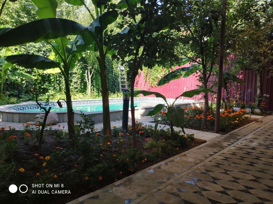 М Горький Никитина Участок 1000