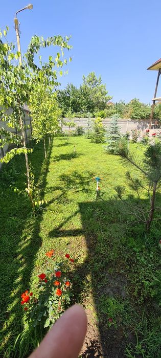 Бесплатно сено,тегін шабылған шөп