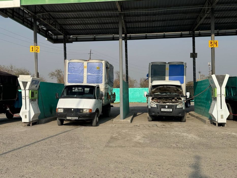 Plashatka gazel xizmati 24/7