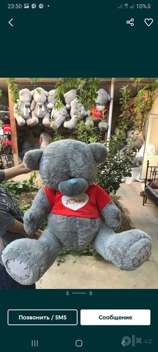 Teddy orginal 10%Skidka