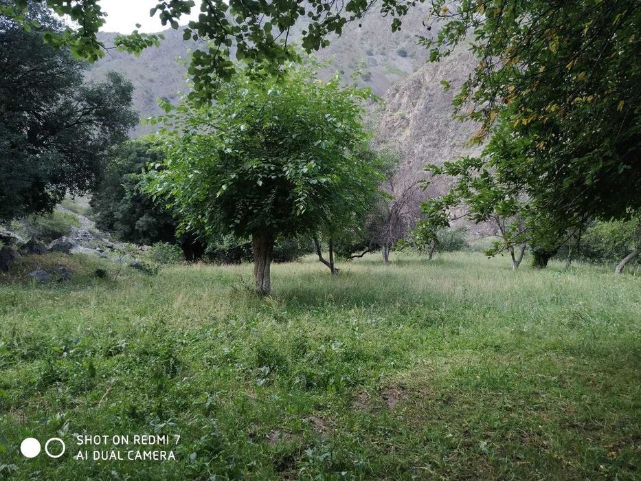 Koʻchmas mulk yer maydoni sotiladi