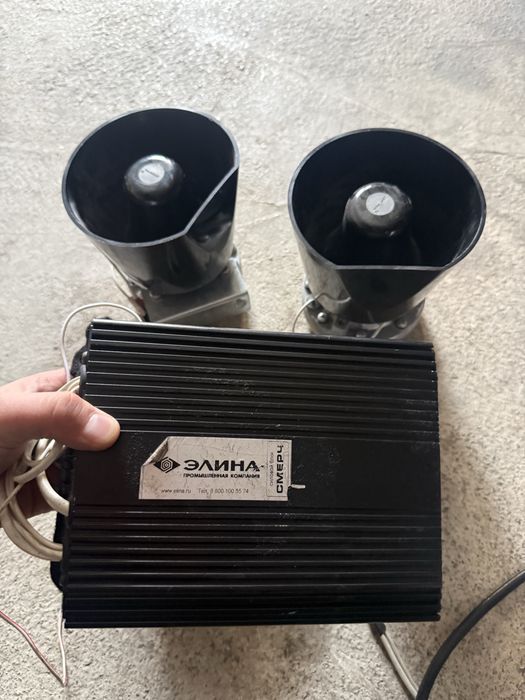 Elena smerch arginal