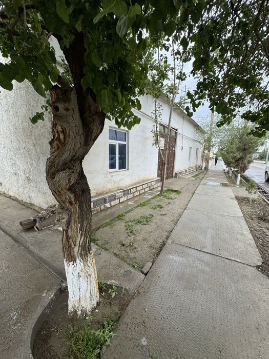 Жондор маркизий кўчаларида 7 сотиҳ ўй Истиклол кўчаси