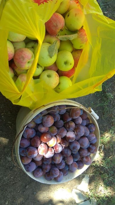 Продаётся  дачный участок п. Деркул