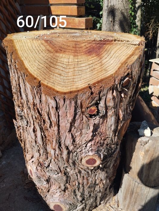 Дървен материал.Секвоя