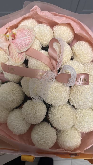 Цветы , Новые , свежие