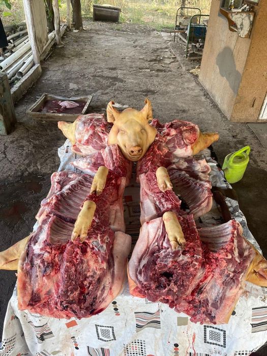 Мясо свинки есть всегда