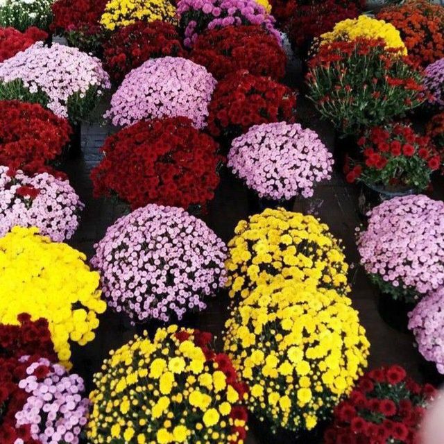 Начинается время посадки