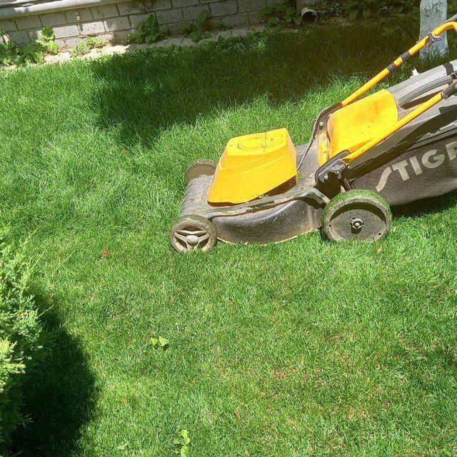 Bogʻbon xizmati ishlari