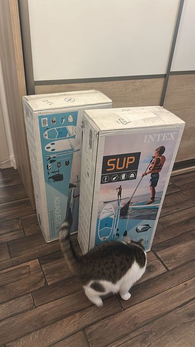 SUP (StandUp Paddle board) INTEX AquaQuest 240