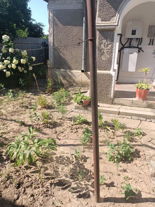 Vând casă comuna Mihail Kogălniceanu