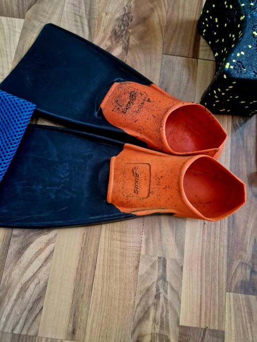 Labe, pluta, tub si plutitor inot