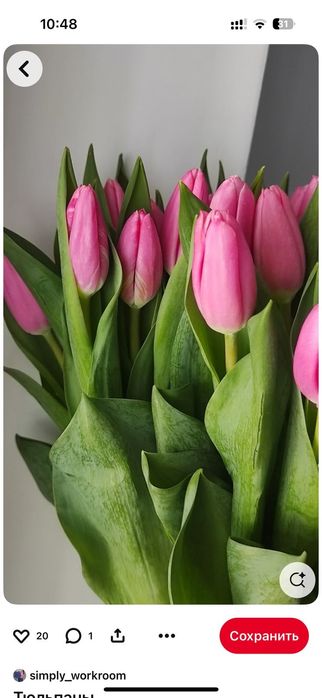 Тюльпаны по 700 тенге