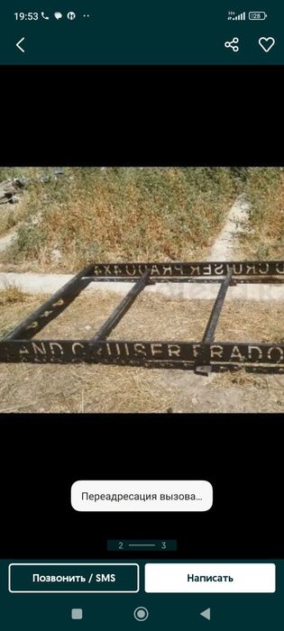 Богажник большой