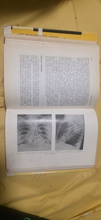 Diagnostic functional clinic