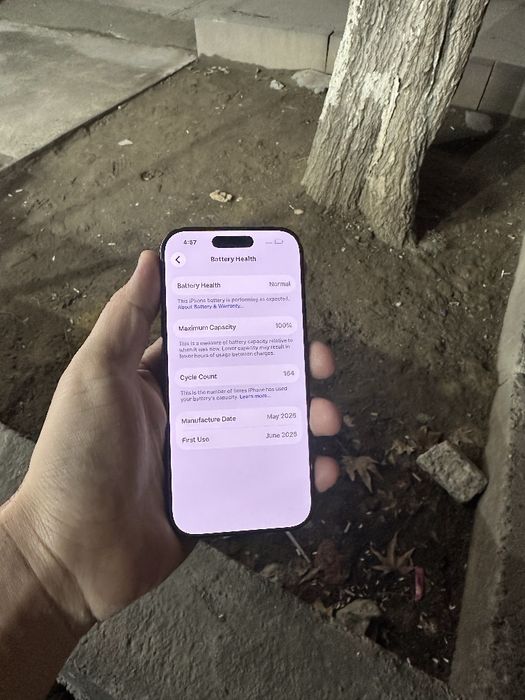 iPhone 16 pro 128 100%