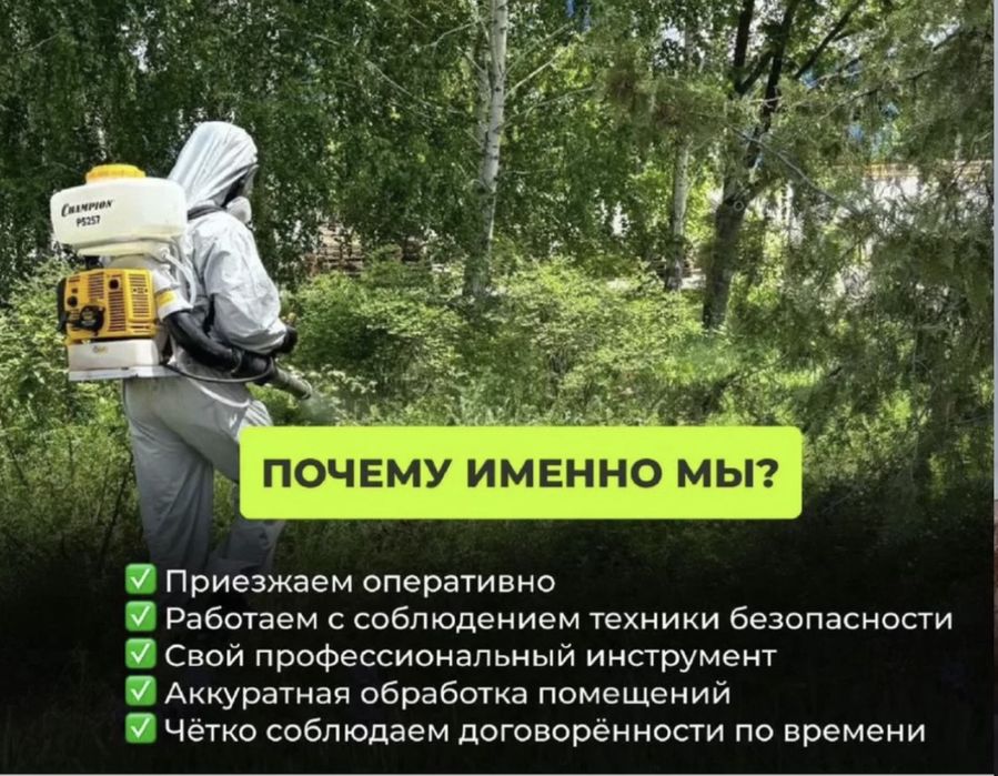 Dеzинфекция клопов и тараканов