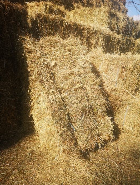 Vând baloți 14 Ron