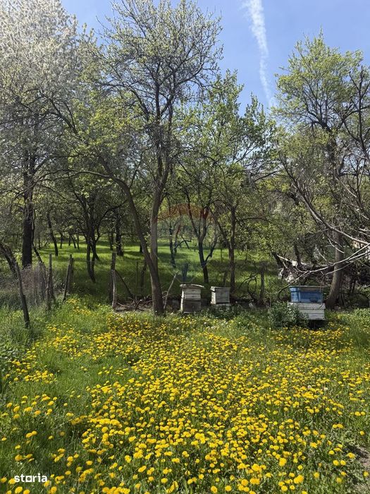 Casă  de vânzare în zona Câmpulung înconjurată de natura