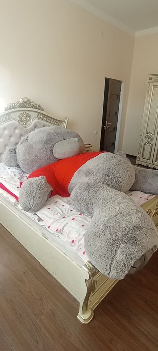 Eng katta arginal teddy ayigʻi sotiladi